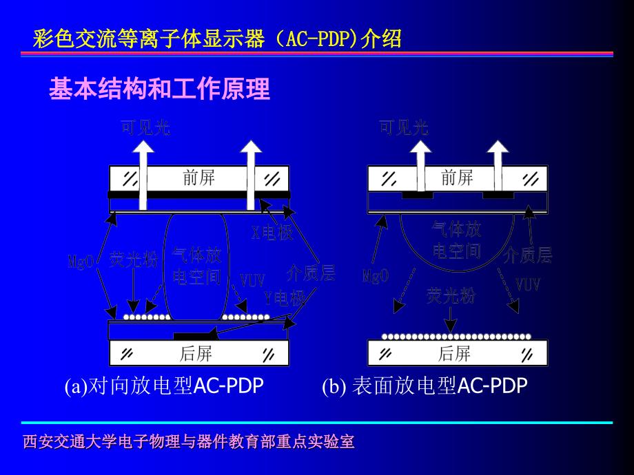 彩色ACPDP介绍PPT课件_第2页