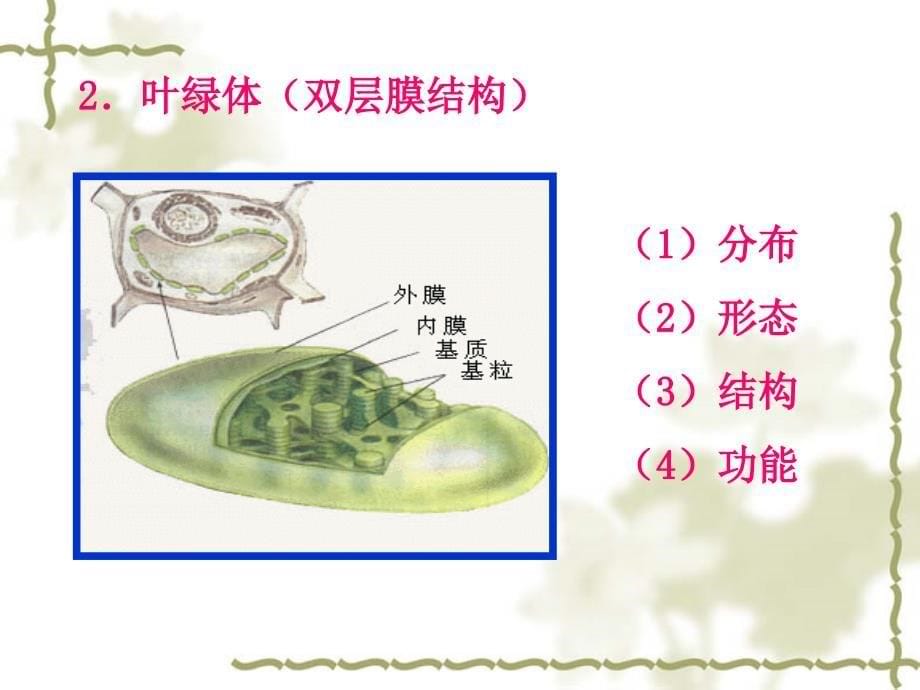 生物必修一细胞器PPT课件_第5页