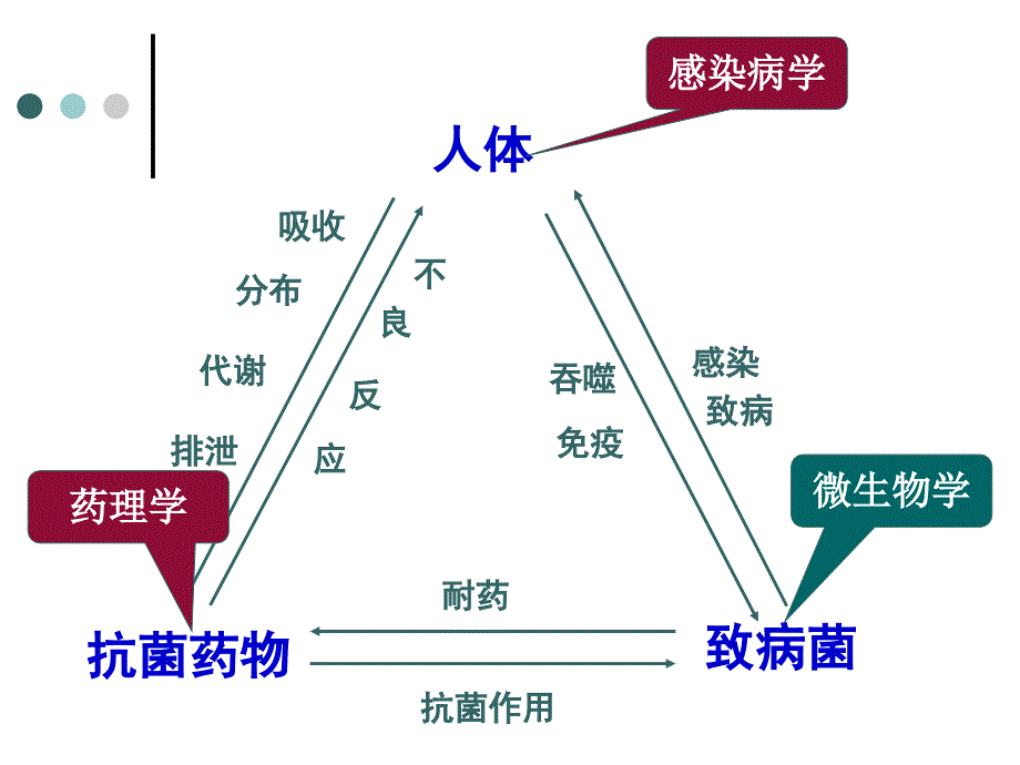 细菌耐药趋势与抗菌药物合理选用课件_第3页