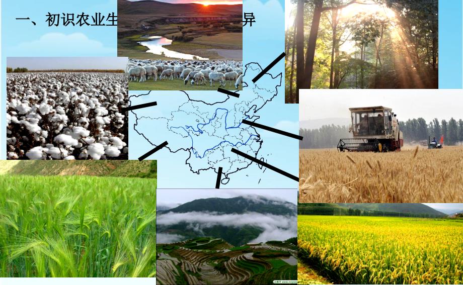 高中地理必修23.1农业的区位选择共3是9张ppt课件_第4页