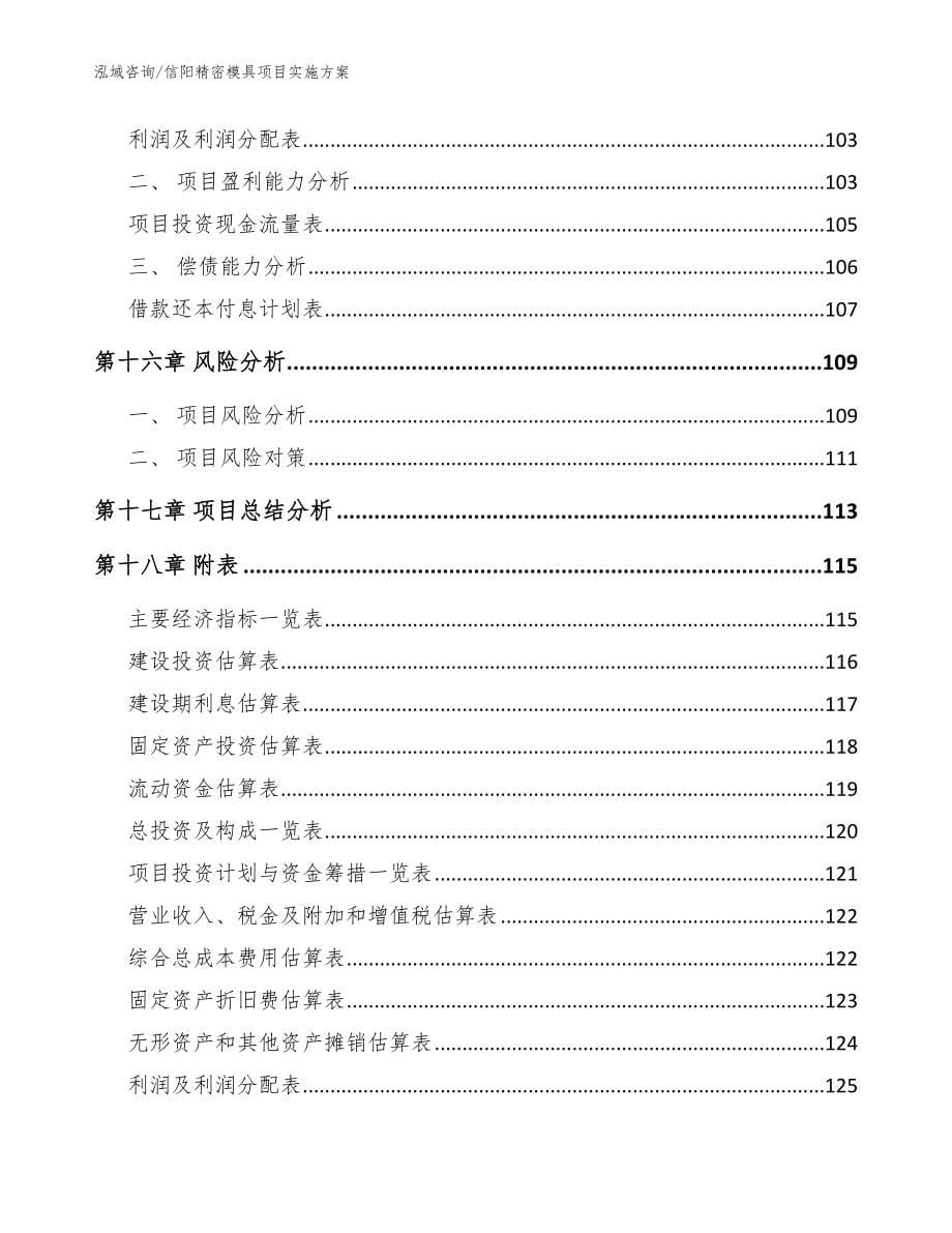 信阳精密模具项目实施方案（范文参考）_第5页