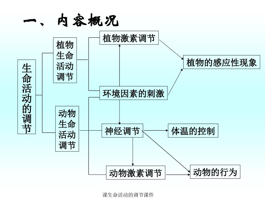 生命活动的调节课件_第3页