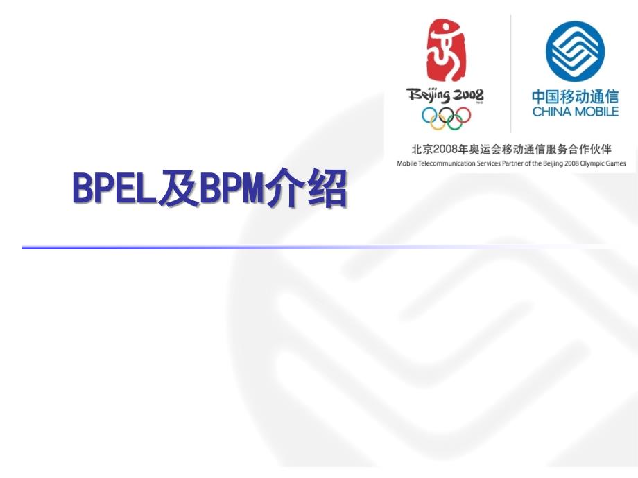 BPEL及BPM介绍_第1页