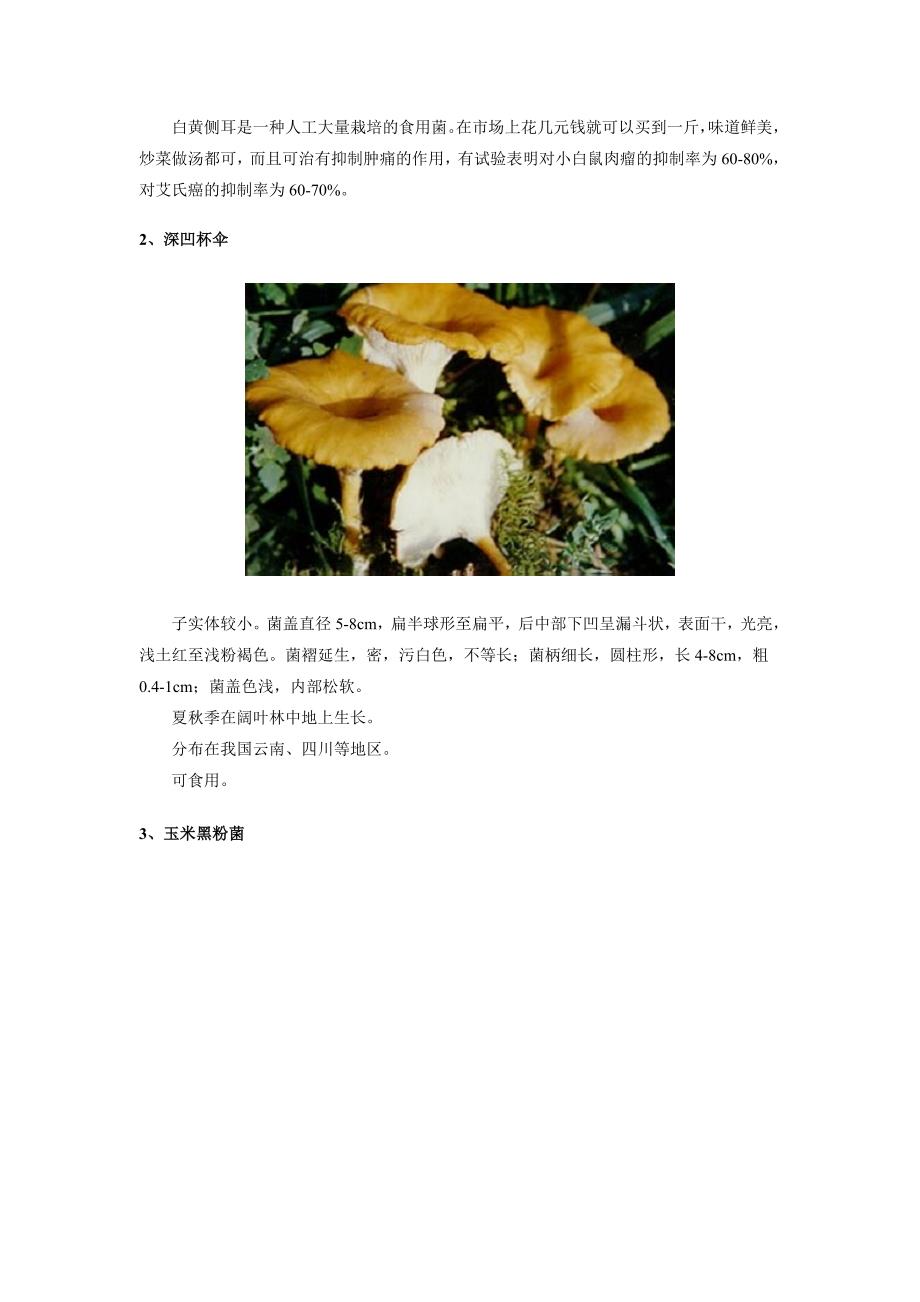 食用蘑菇的种类及图文介绍附几种常见的食用菌的主要营养成分_第2页