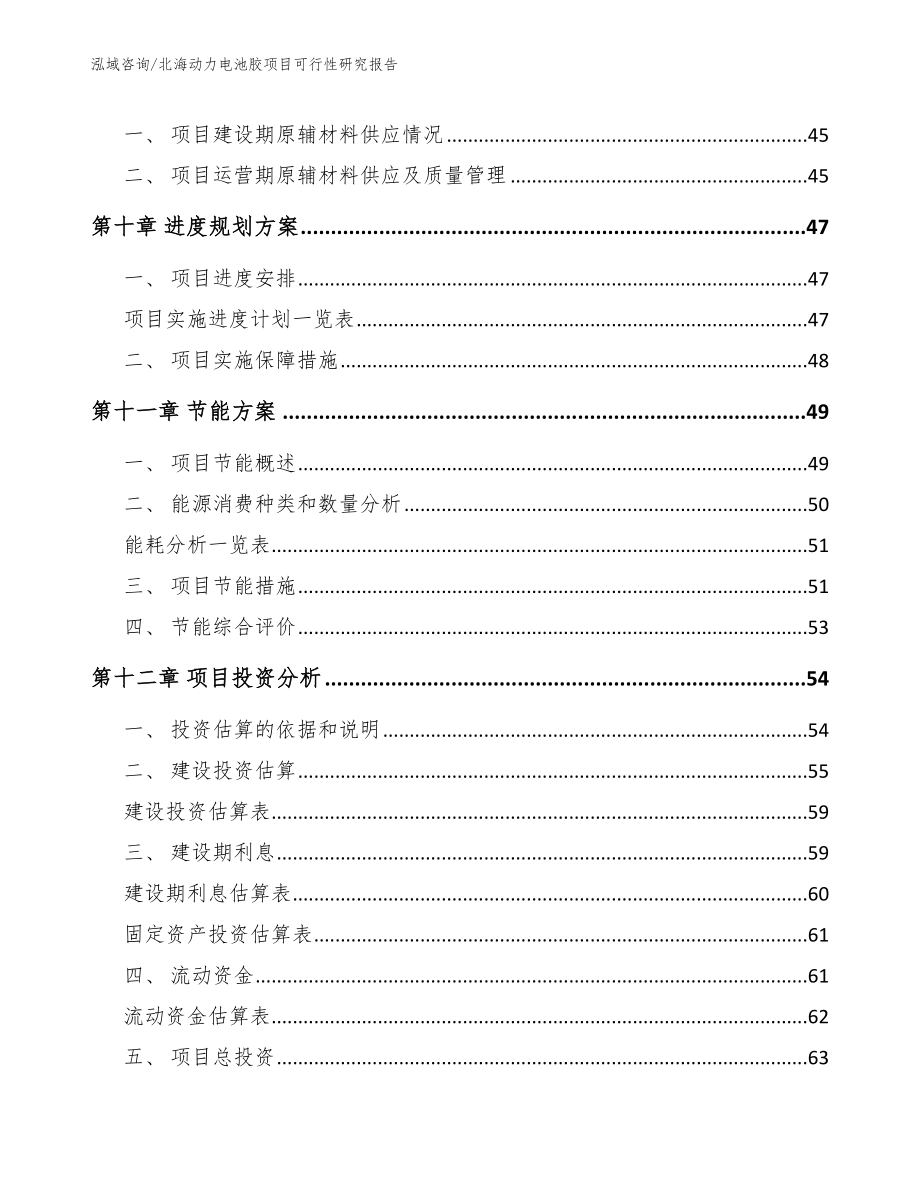 北海动力电池胶项目可行性研究报告（范文）_第4页