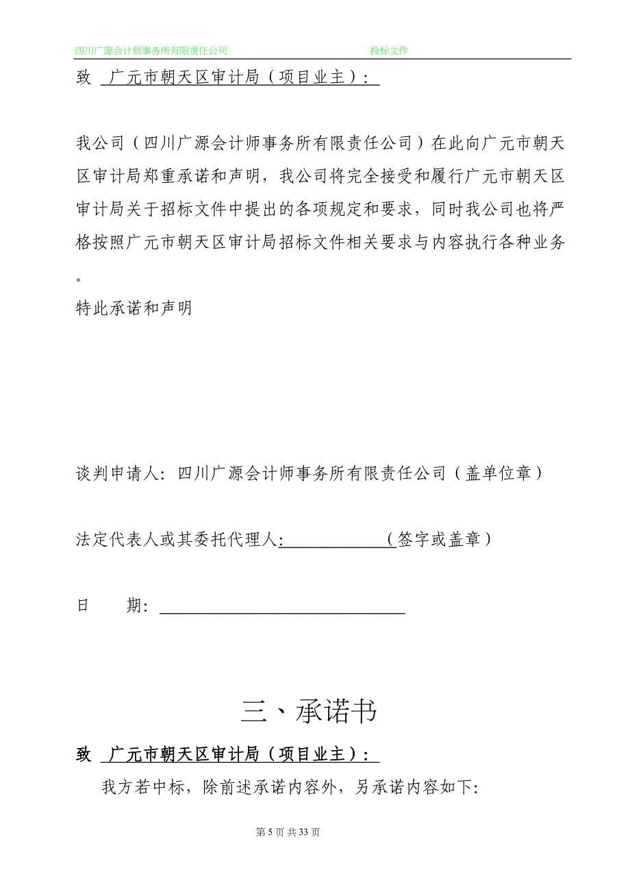 广元市朝天区政府 造价咨询服务投标书（天选打工人）.docx_第5页