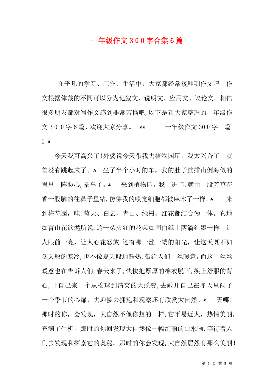 一年级作文300字合集6篇_第1页