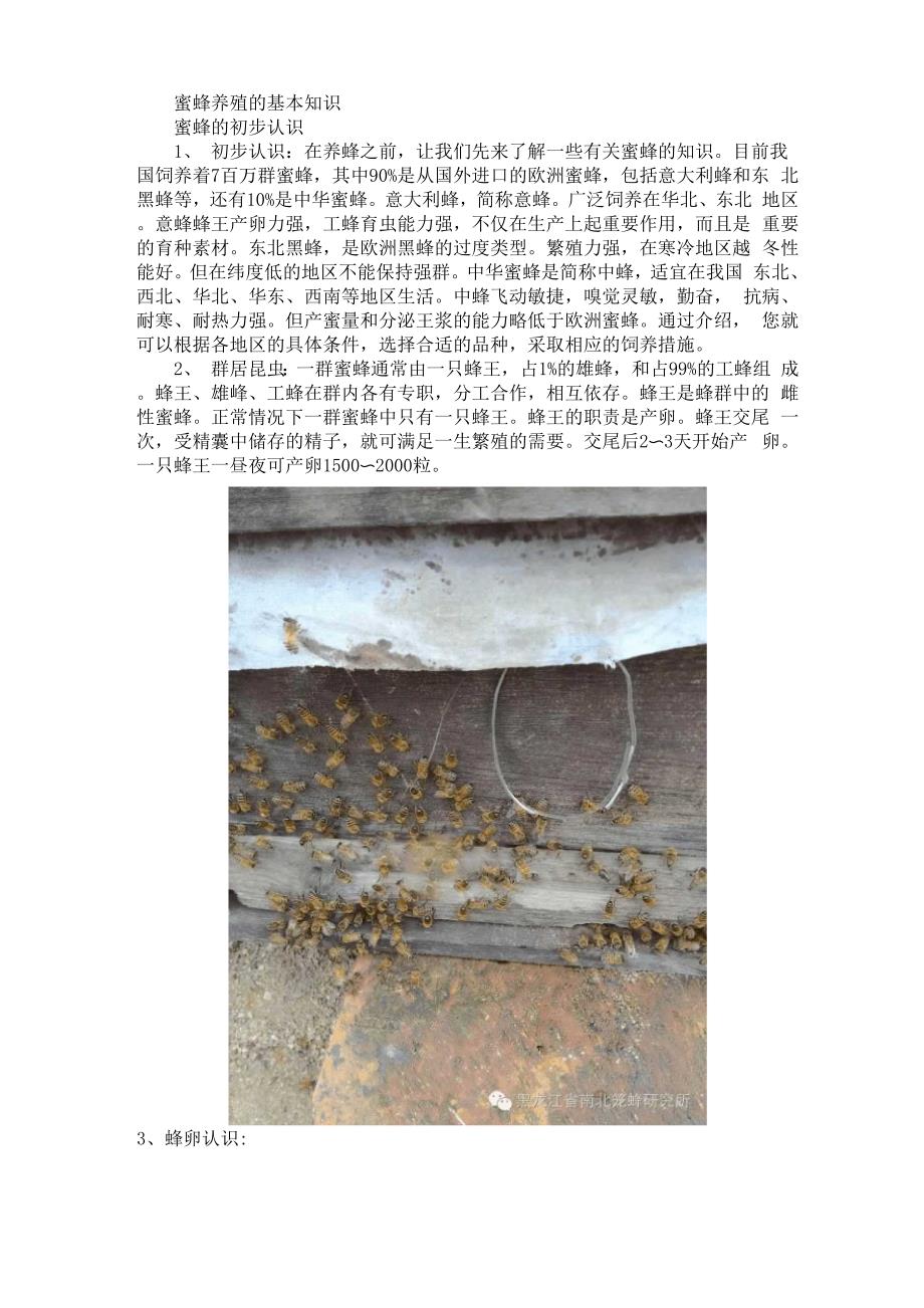 蜜蜂养殖知识_第2页