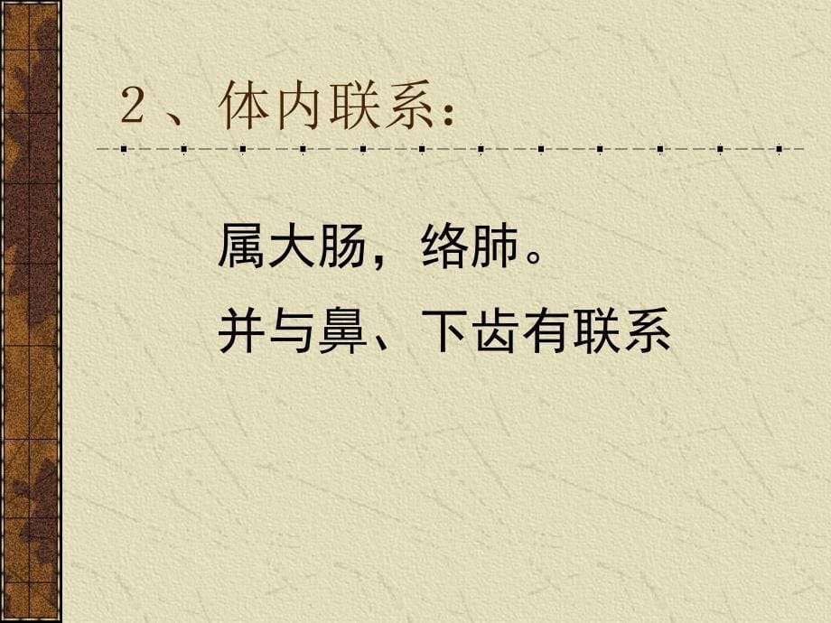 手阳明大肠经教学课件_第5页