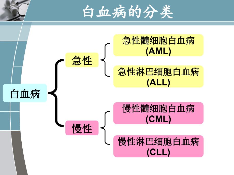 急性髓细胞白血病药学监护课件_第4页