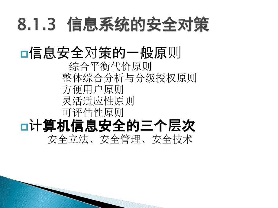 信息系统安全与社会责任_第5页