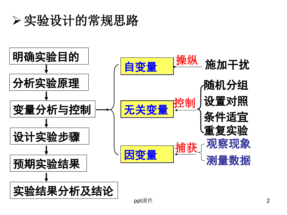 探究生长素类似物促进插条生根的最适浓度课件_第2页