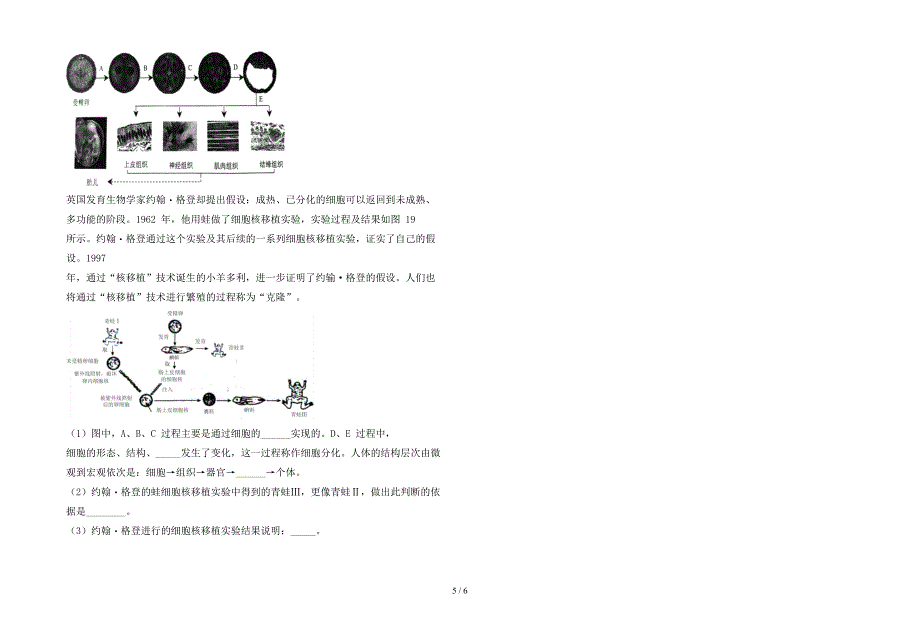 2023年冀教版七年级生物上册期末考试题及答案【精品】.doc_第5页