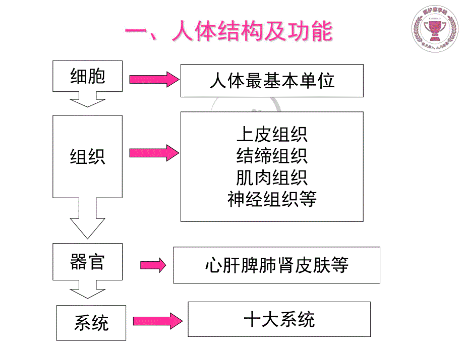 人体基本知识.pdf_第2页