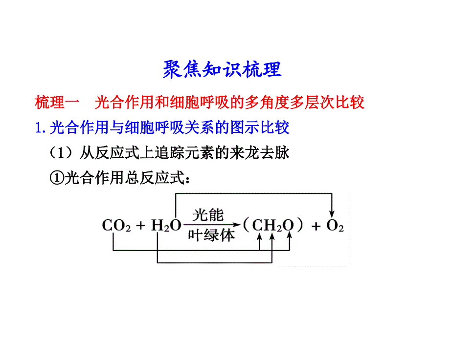 第12课时光合作用和细胞呼吸的知识梳理与题型探究_第3页