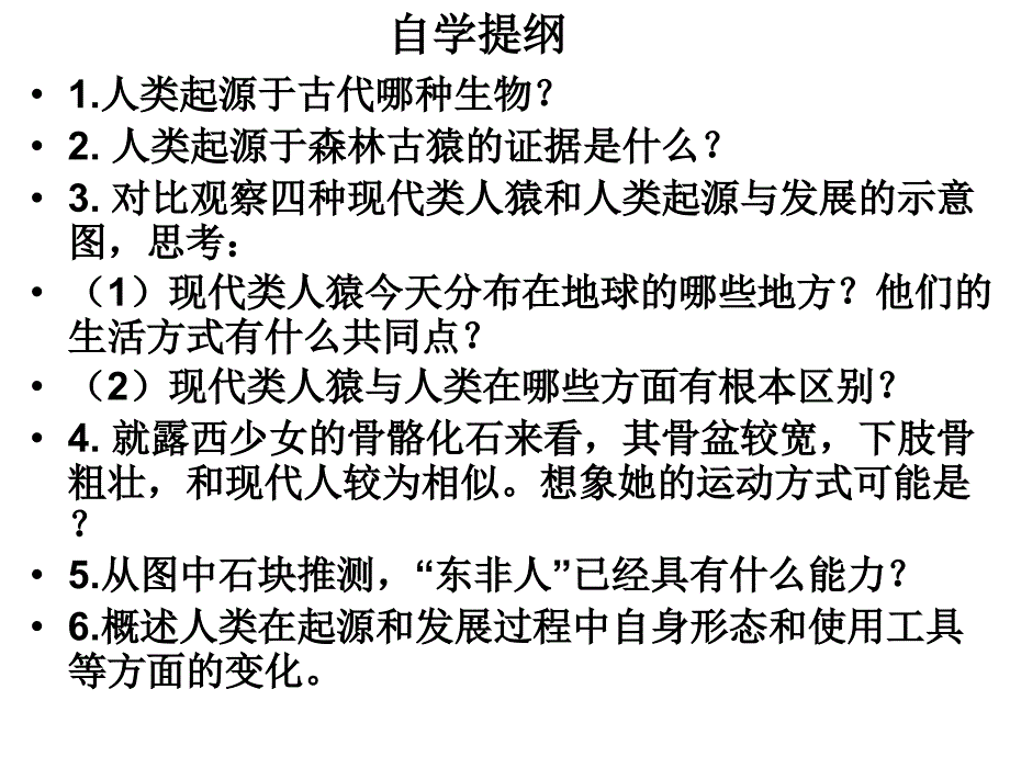 人类起源和发展的课件1_第3页