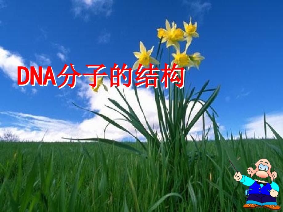 DNA分子的结构和复制讲课用_第1页