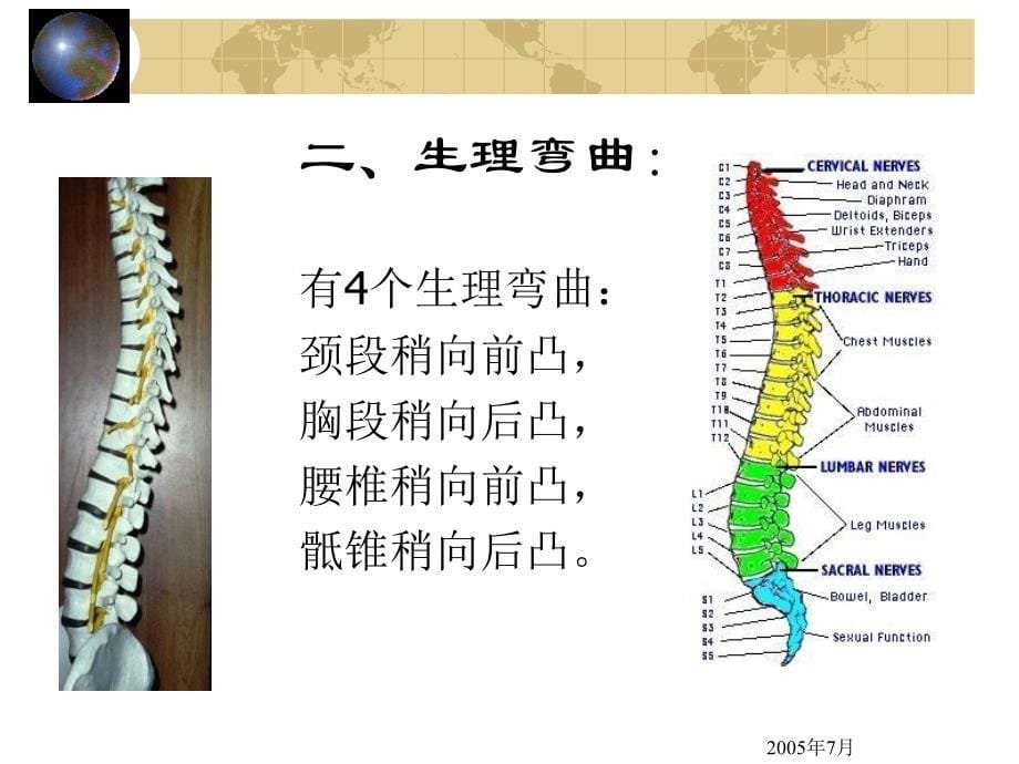 脊柱四肢检查PPT课件_第5页