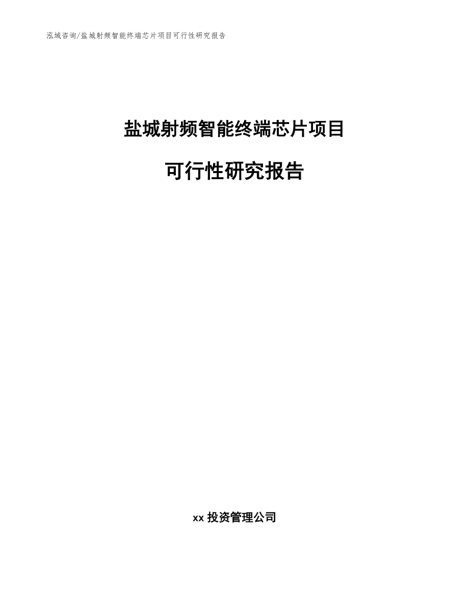 盐城射频智能终端芯片项目可行性研究报告（模板范文）_第1页