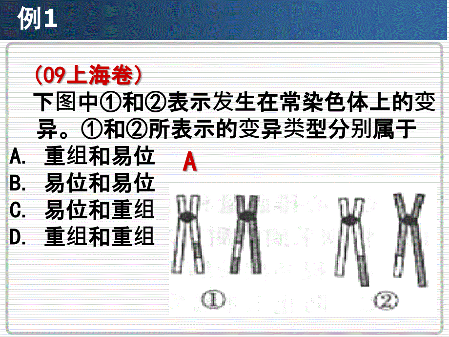 高三生物染色体变异_第2页