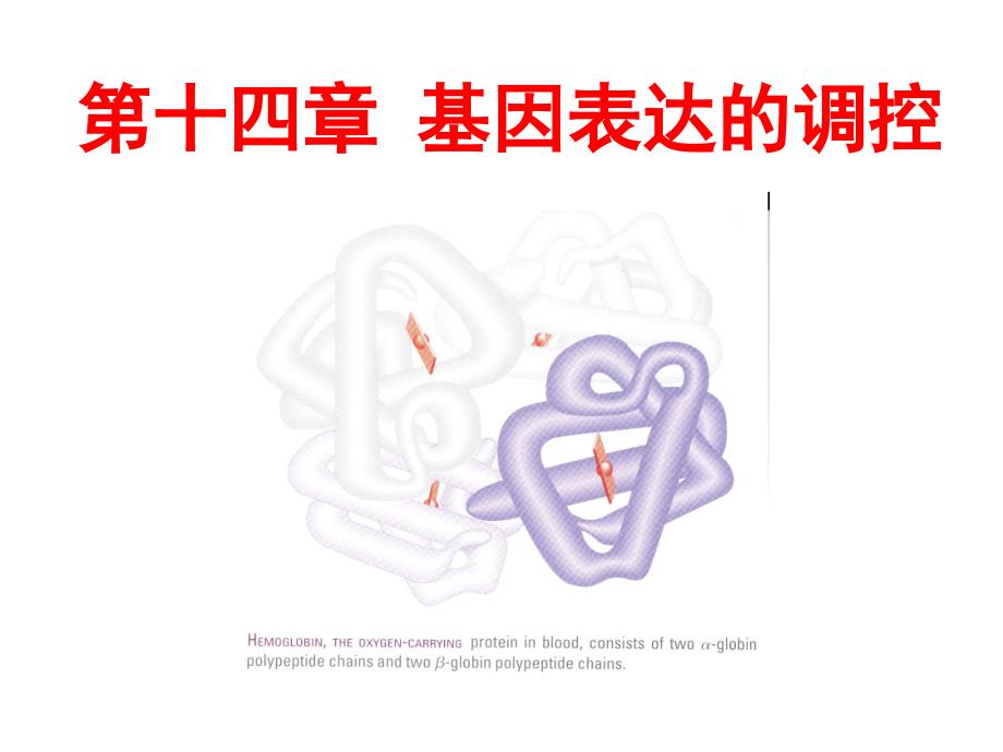 遗传学幻灯14_第1页