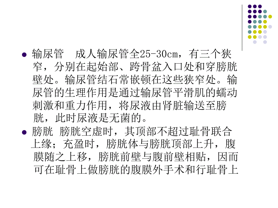 泌尿系统的护理word版本_第3页