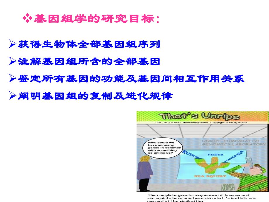 普通遗传学第十三章基因组学_第3页