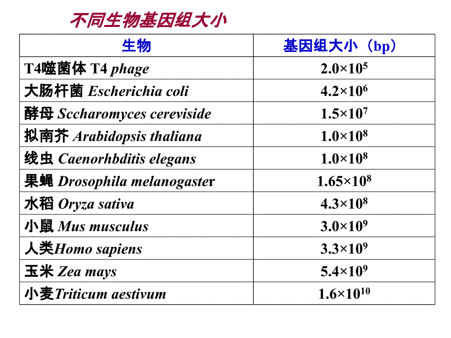 普通遗传学第十三章基因组学_第4页