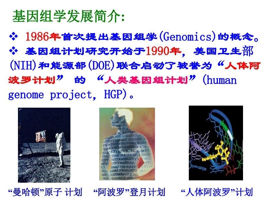 普通遗传学第十三章基因组学_第5页