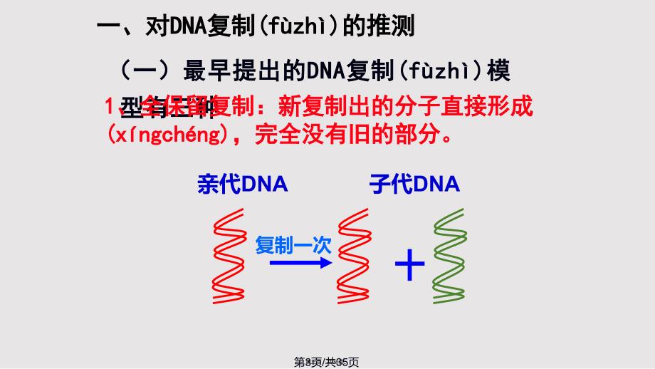 DNA复制2018实用教案_第3页