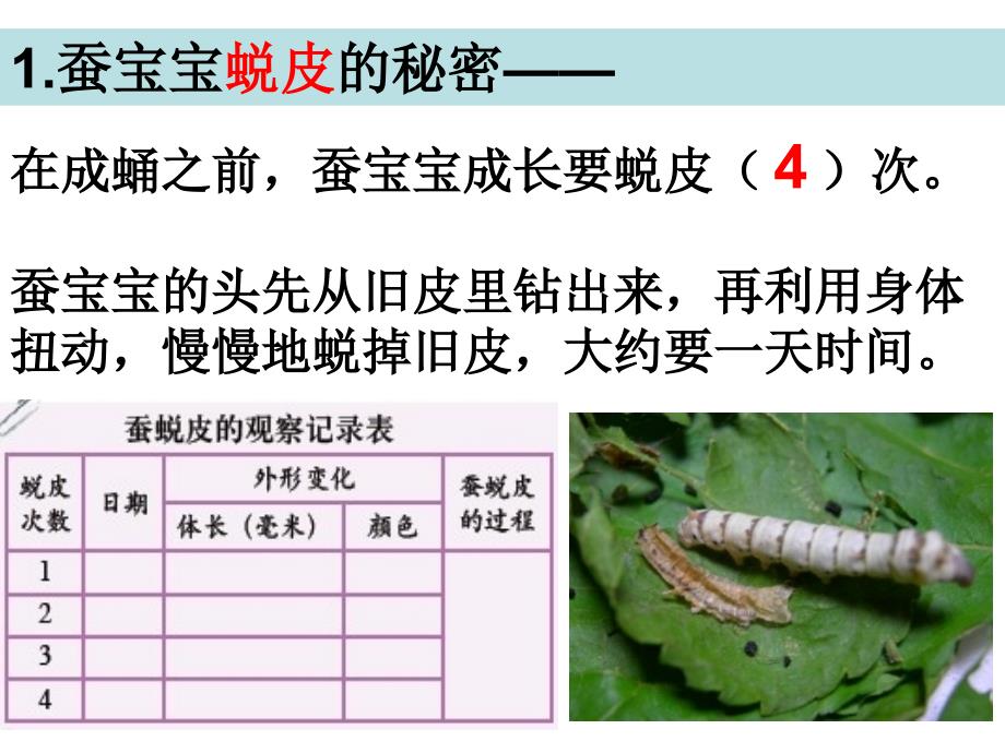 教科版三年级下册二单元2课_第4页