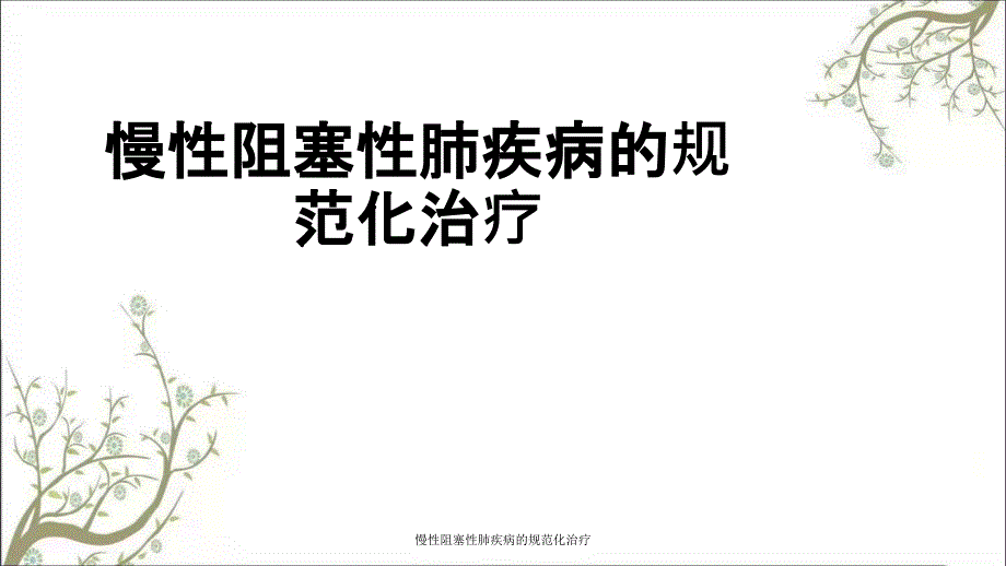 慢性阻塞性肺疾病的规范化治疗课件_第1页