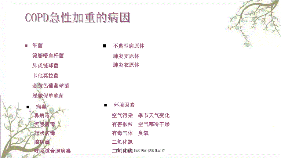 慢性阻塞性肺疾病的规范化治疗课件_第4页