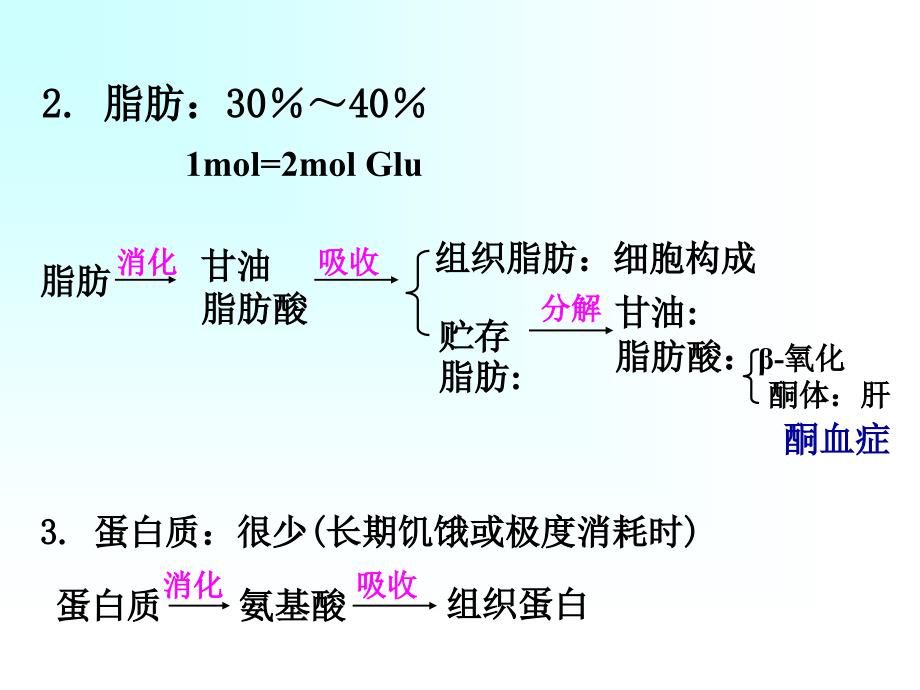 生理学课件：能量代谢和体温－4课时_第4页