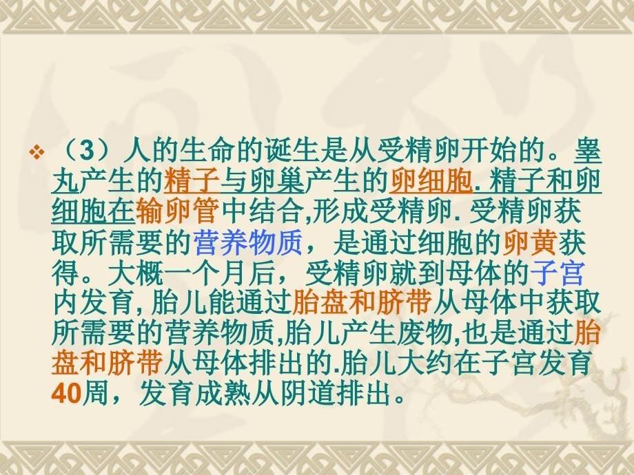 新人教版七年级生物下册复习课件《人体七大系统》_第5页