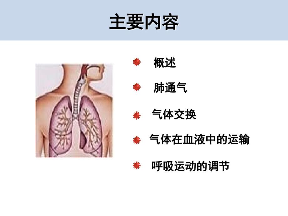 生理学呼吸系统PPT课件_第2页