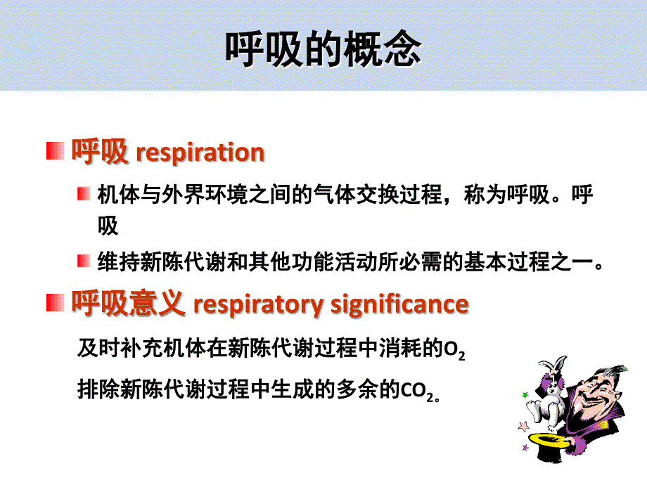 生理学呼吸系统PPT课件_第3页