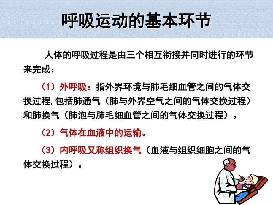 生理学呼吸系统PPT课件_第5页