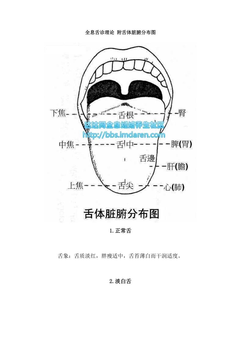 全息舌诊理论附舌体脏腑分布图_第1页