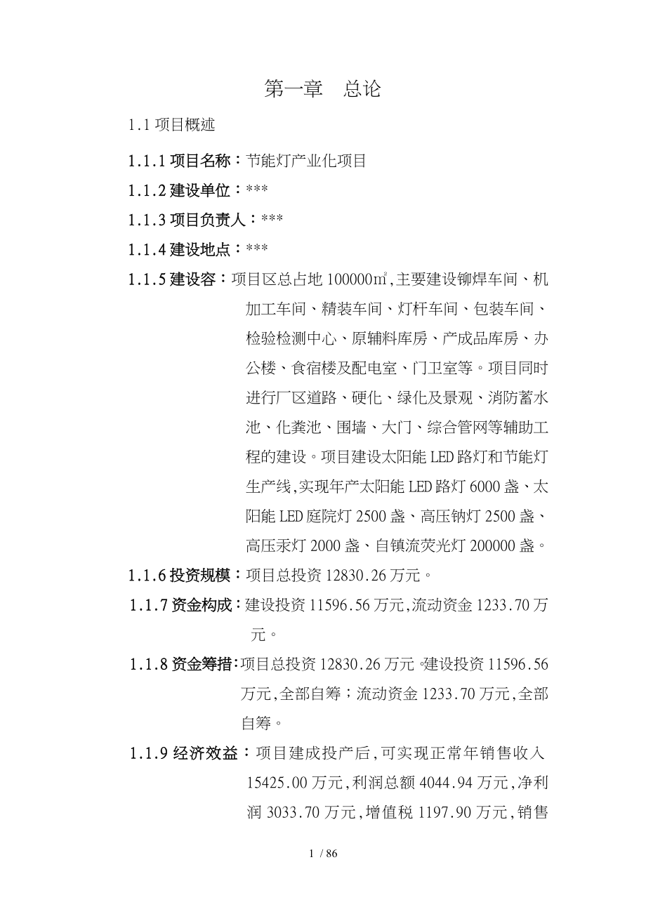 节能灯产业化项目可行性实施计划书_第1页