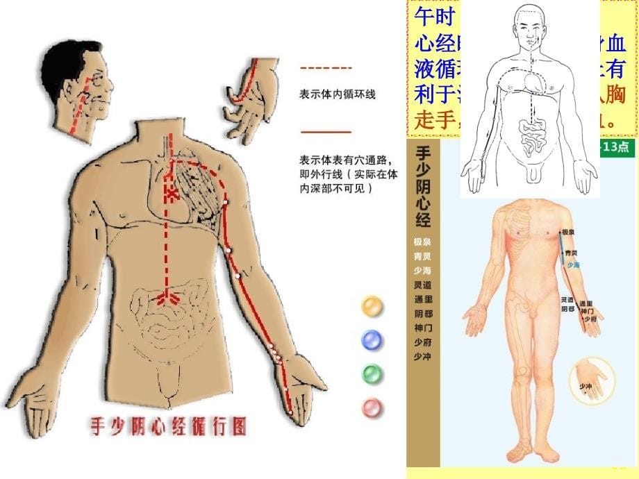 实用人体经络动画图绝佳好文_第5页