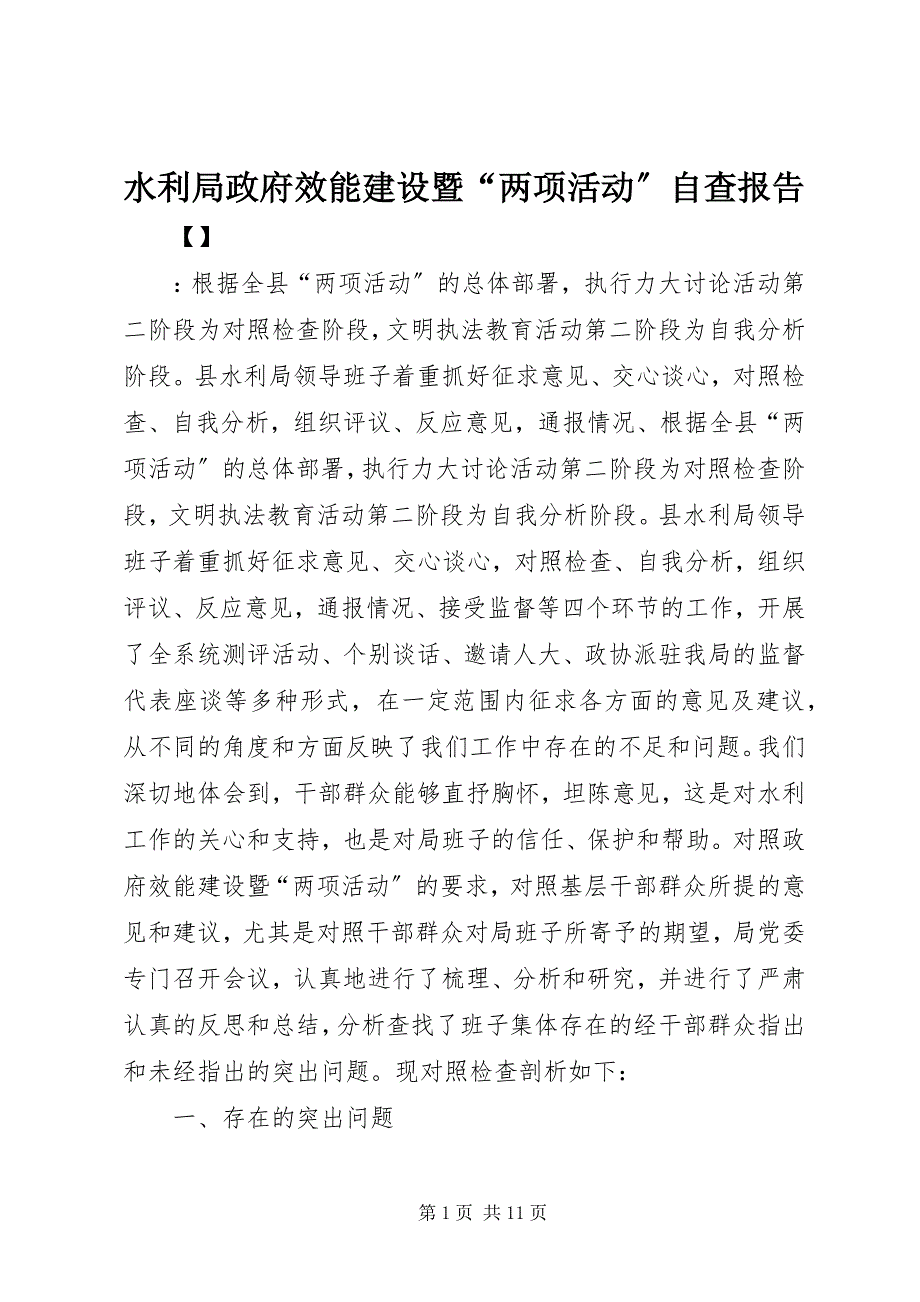 2023年水利局政府效能建设暨“两项活动”自查报告.docx_第1页