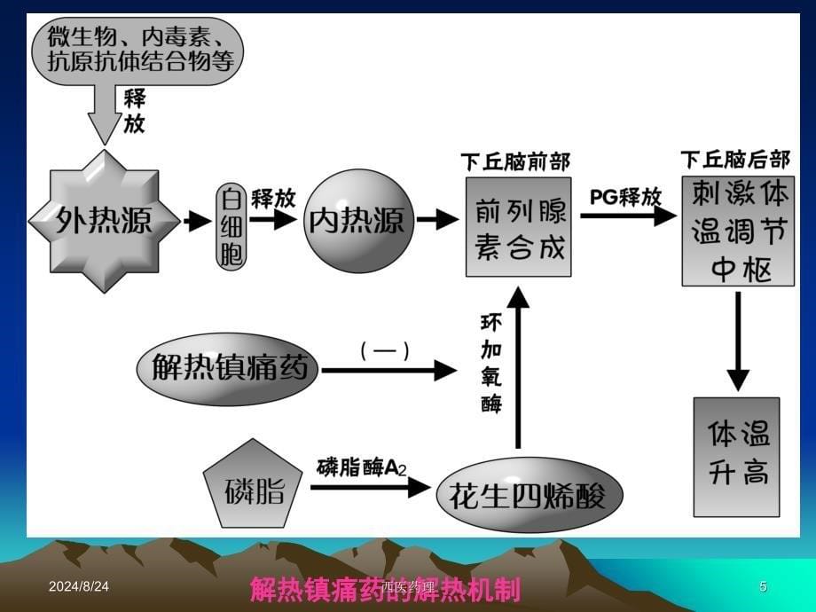 西医药理学第十三章解热镇痛抗炎药文档资料_第5页