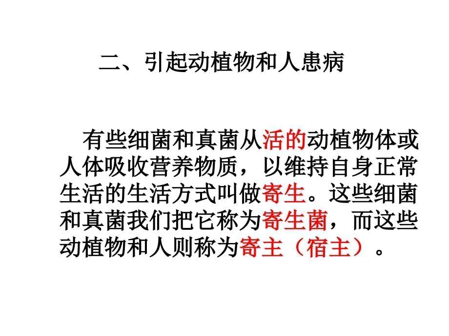 人教版八年级生物上册细菌和真菌在自然界中的作用_第5页