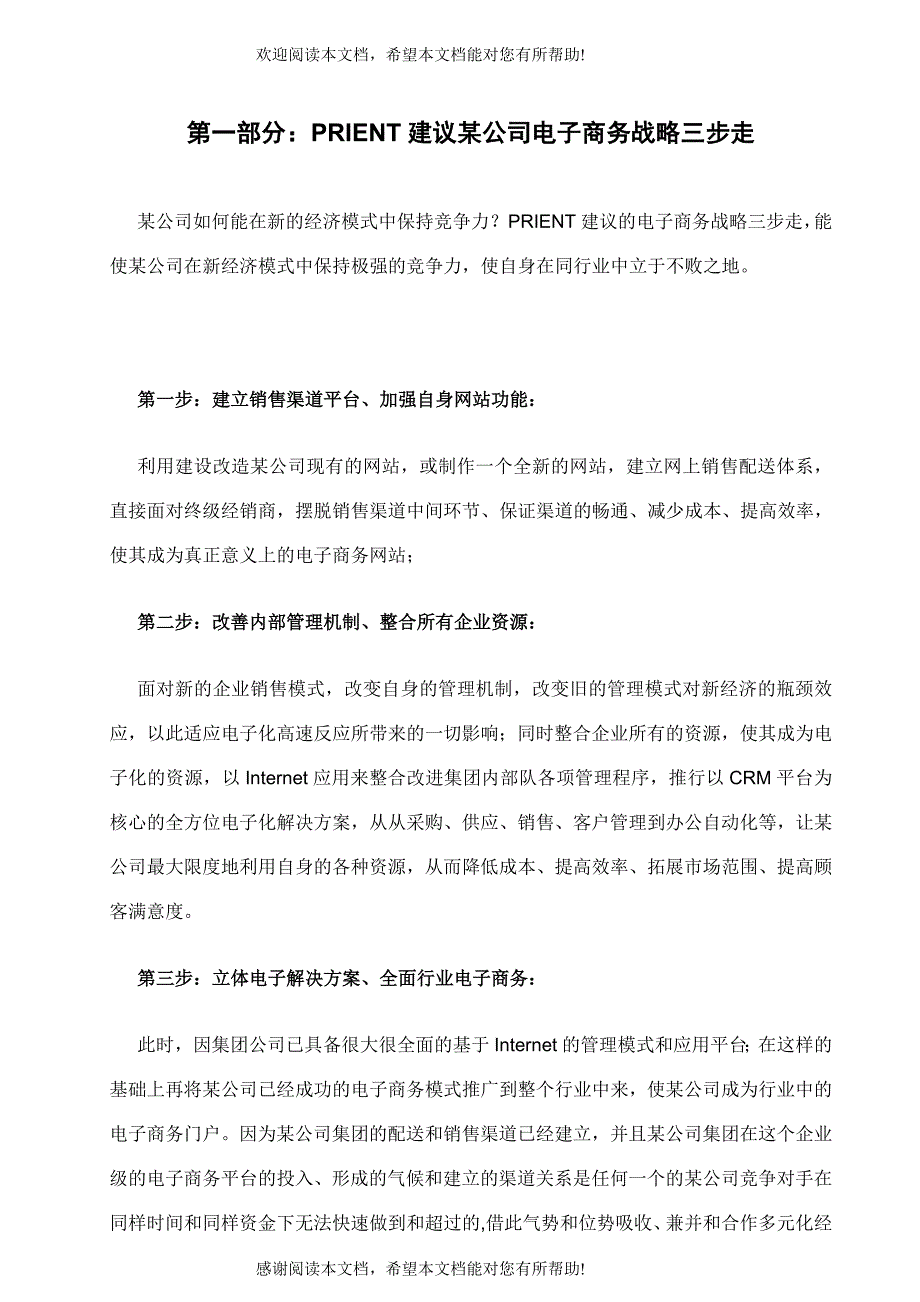 红牛电子商务发展战略实施方案_第2页