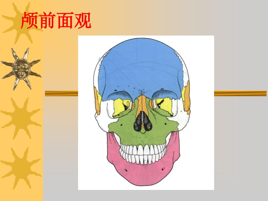 侧颅底、咽的应用解剖_第3页