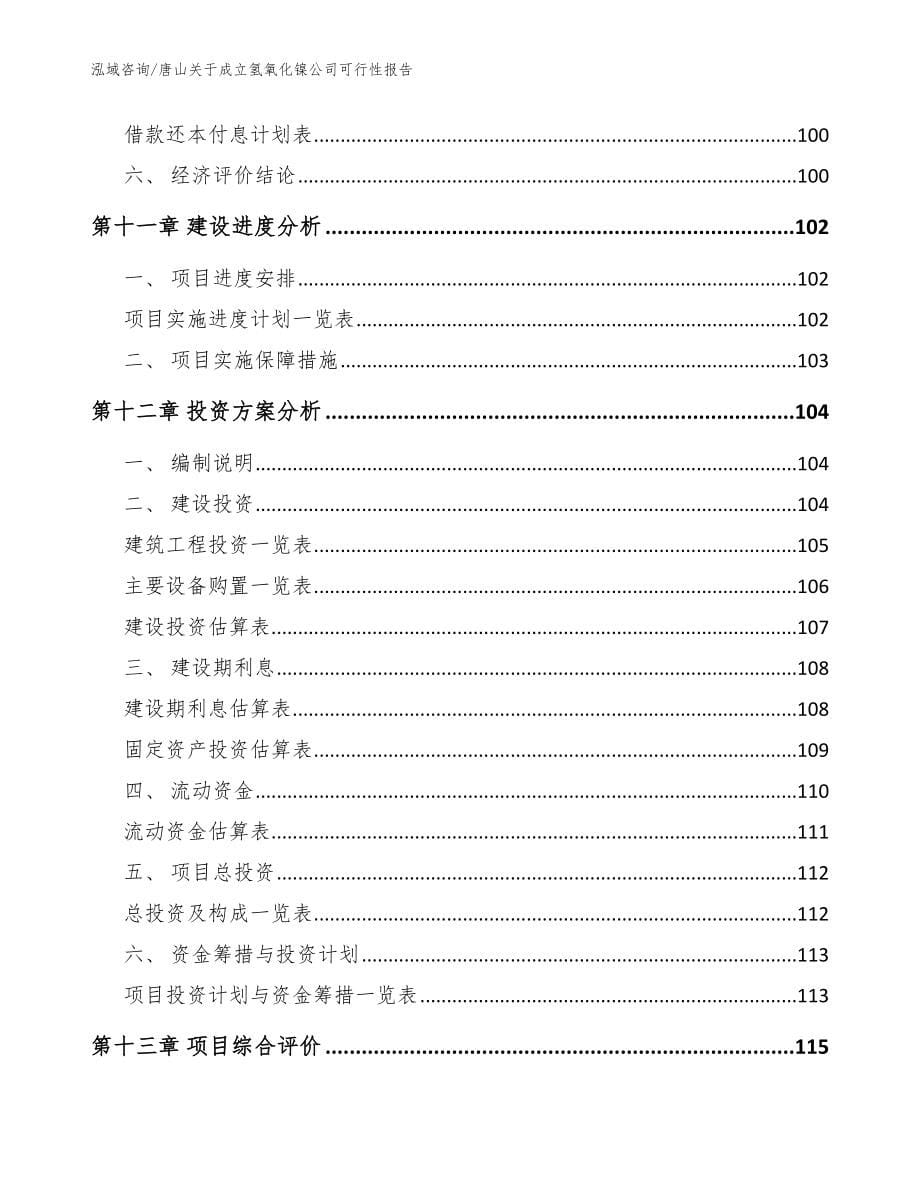 唐山关于成立氢氧化镍公司可行性报告范文模板_第5页