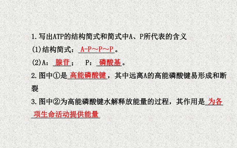 高考生物热排查核心复习方略中图版课件：必修一第三单元第二章第一、二节细胞中的能源物质酶在代谢中的作用_第4页