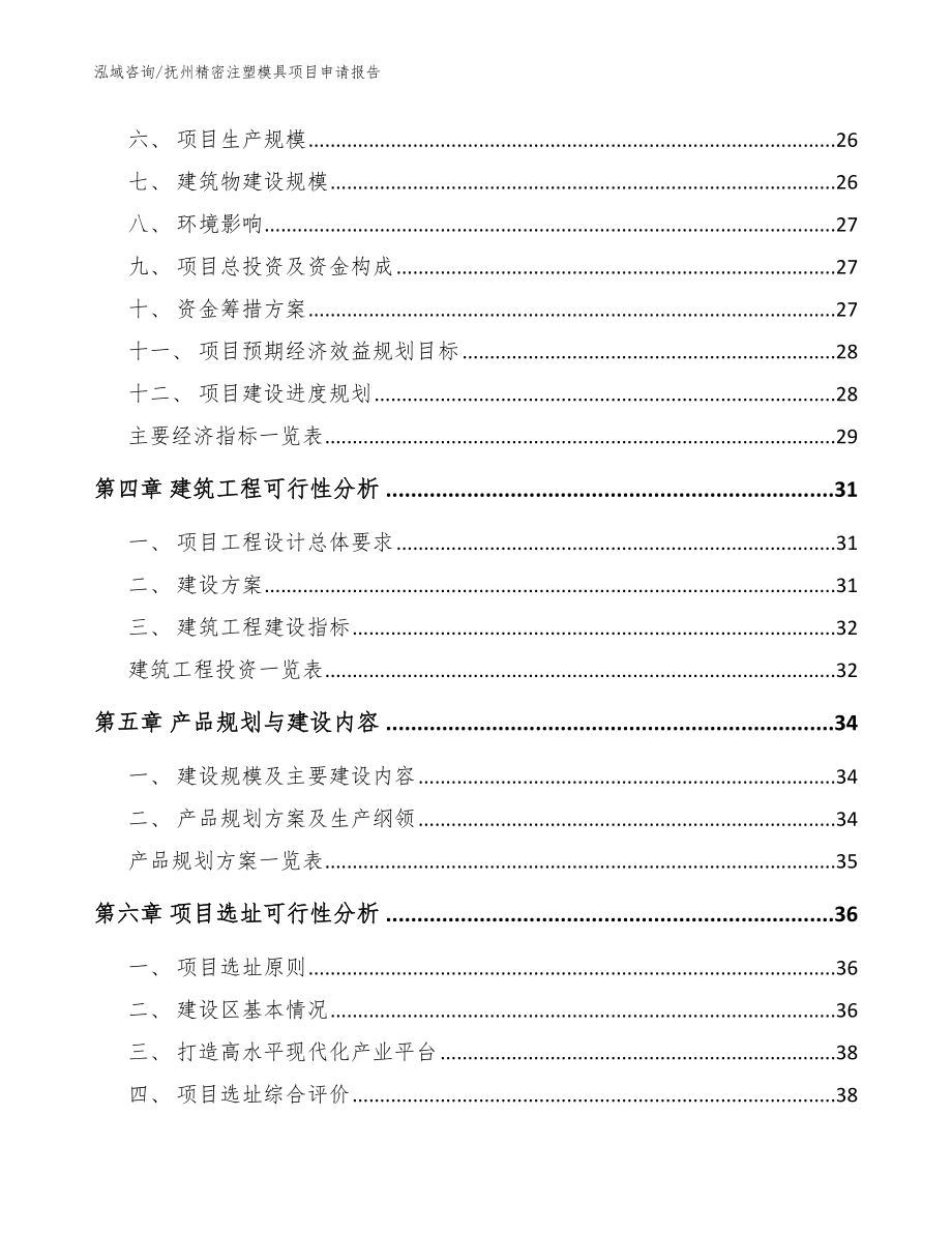 抚州精密注塑模具项目申请报告_范文_第3页