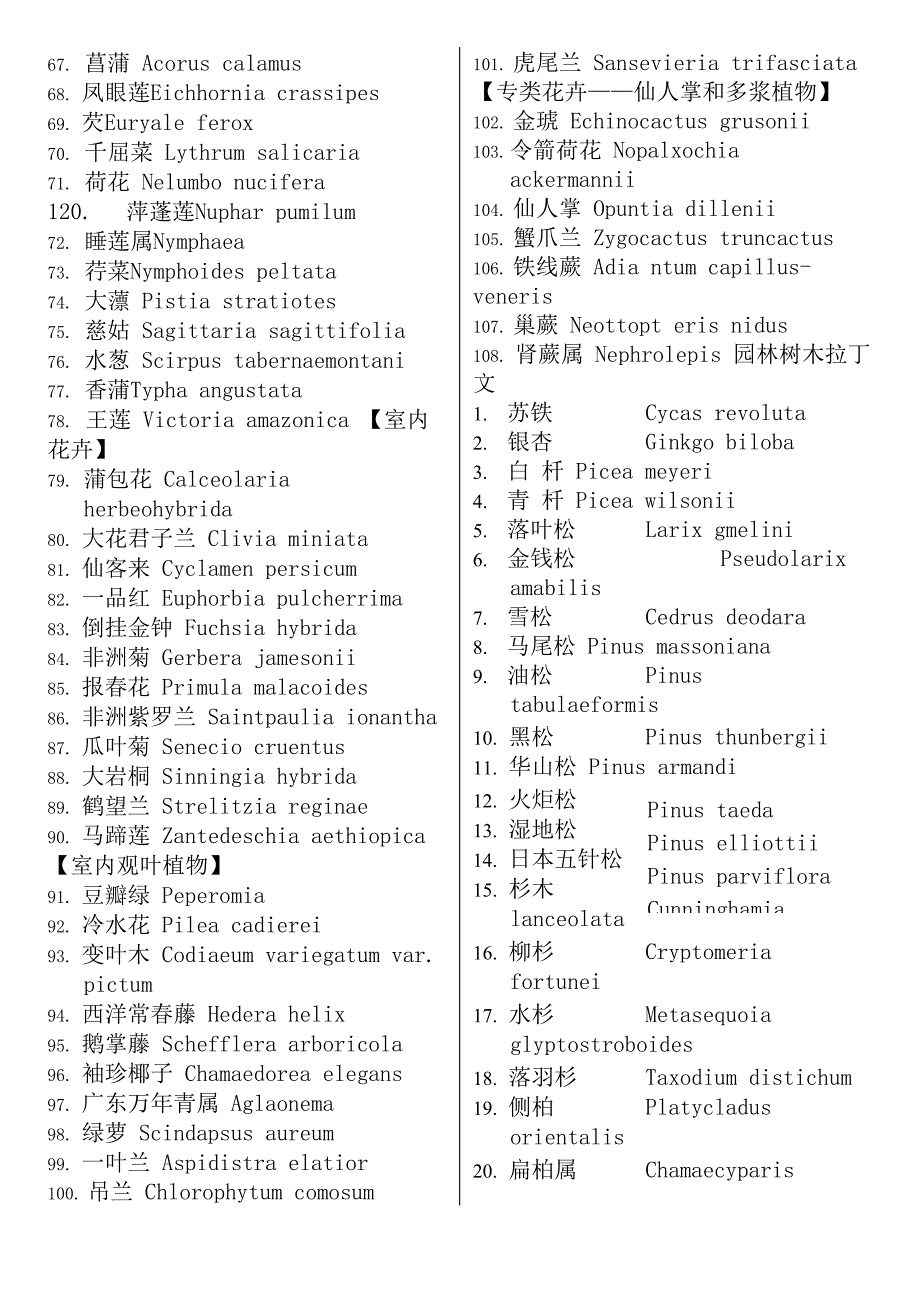 园林植物拉丁学名_第3页